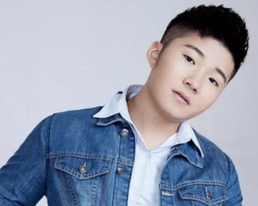 从不问归期像太阳升了落去,无论朝夕是什么歌名