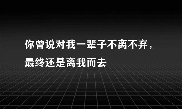 你曾说对我一辈子不离不弃，最终还是离我而去