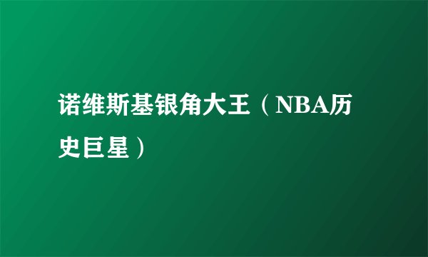 诺维斯基银角大王（NBA历史巨星）