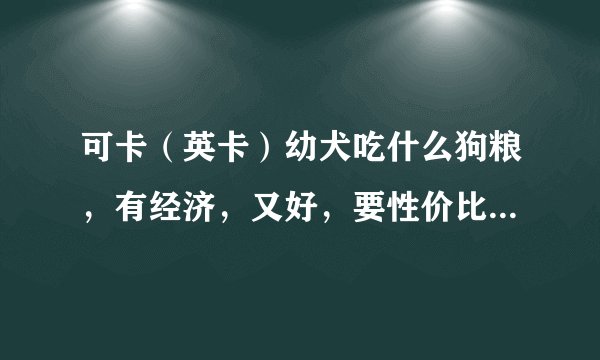 可卡（英卡）幼犬吃什么狗粮，有经济，又好，要性价比高的，！