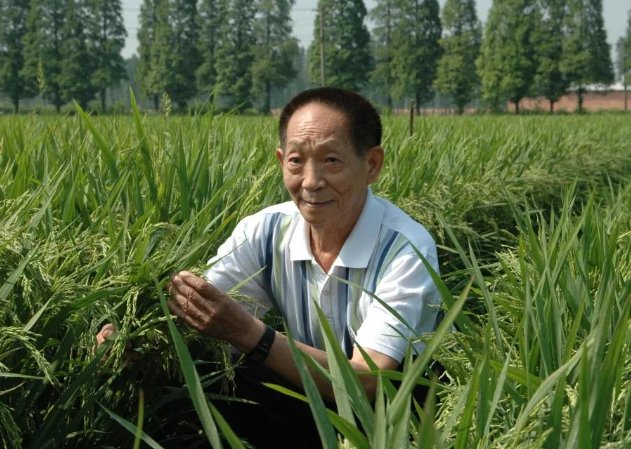 袁隆平是哪里人呢