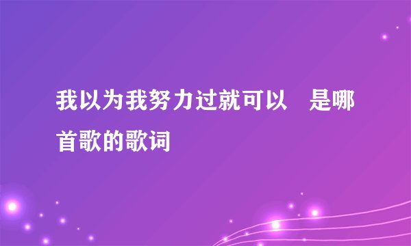 我以为我努力过就可以   是哪首歌的歌词