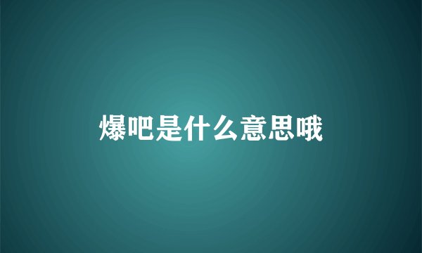爆吧是什么意思哦