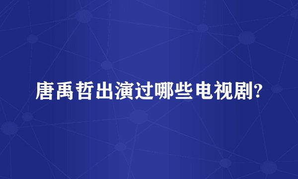 唐禹哲出演过哪些电视剧?