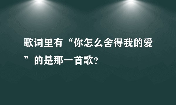 歌词里有“你怎么舍得我的爱”的是那一首歌？