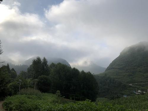 贵州“龙叫”事件2人被拘，他们犯了什么事？