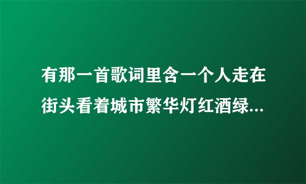 有那一首歌词里含一个人走在街头看着城市繁华灯红酒绿这首歌名