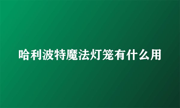 哈利波特魔法灯笼有什么用