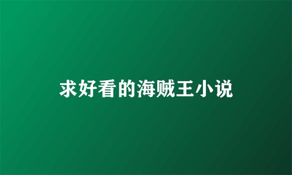 求好看的海贼王小说