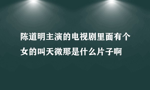 陈道明主演的电视剧里面有个女的叫天微那是什么片子啊