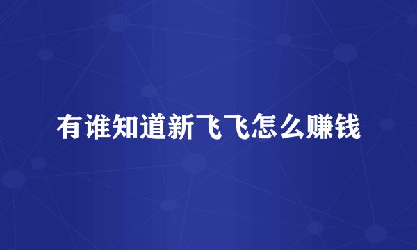 有谁知道新飞飞怎么赚钱