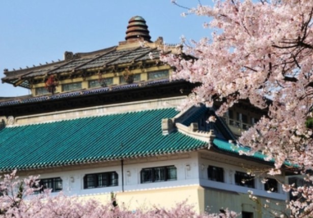 623分可以上什么大学