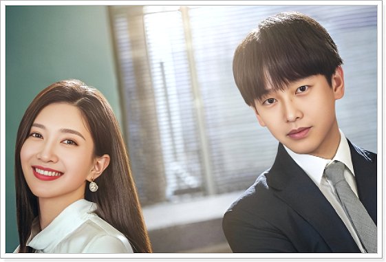 女士的法则剧情简介