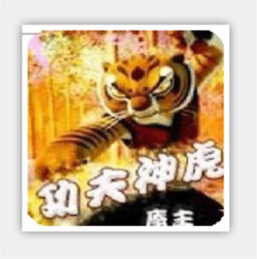 功夫神虎的内容简介