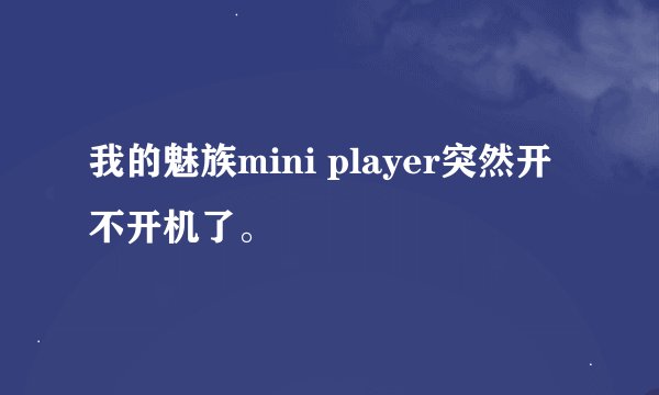 我的魅族mini player突然开不开机了。