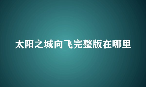 太阳之城向飞完整版在哪里