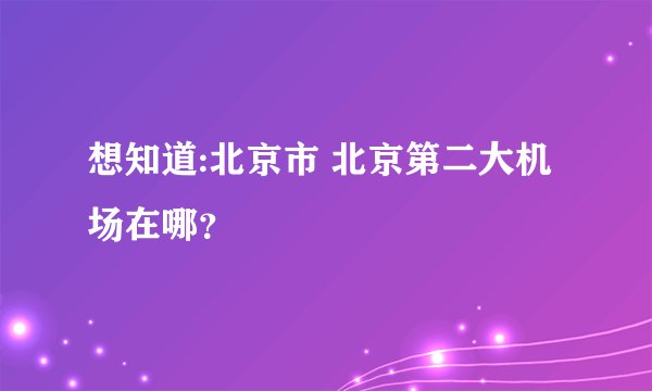 想知道:北京市 北京第二大机场在哪？