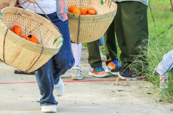 坪坝的意思解释