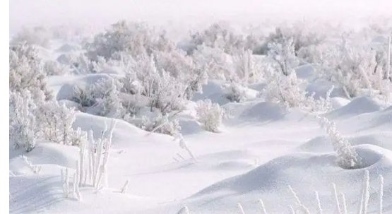 立春后下雪是什么兆头