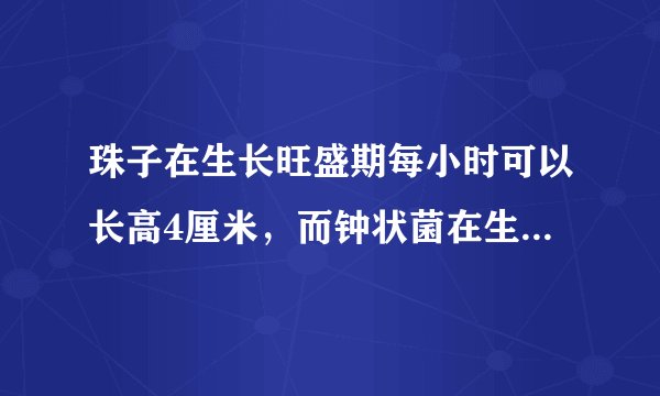 珠子在生长旺盛期每小时可以长高4厘米，而钟状菌在生长旺盛期每小时25厘米