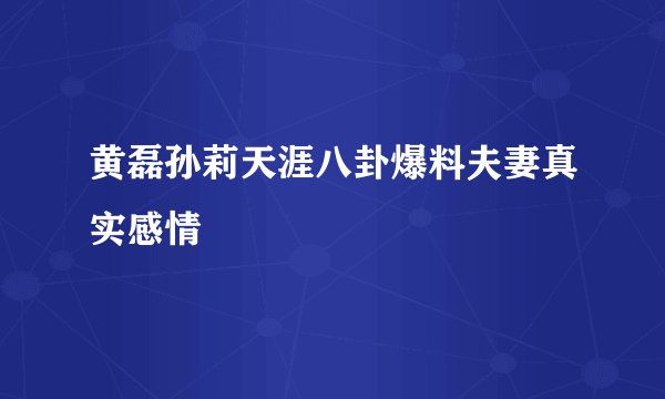 黄磊孙莉天涯八卦爆料夫妻真实感情