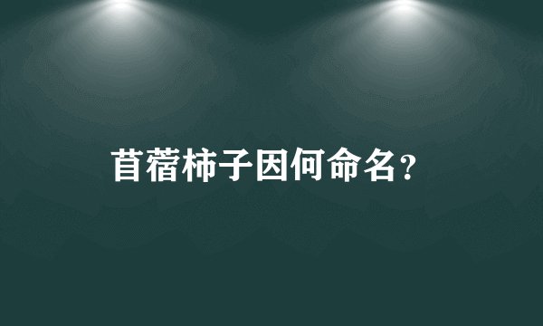 苜蓿柿子因何命名？