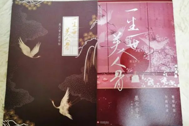 周生如故小说叫什么