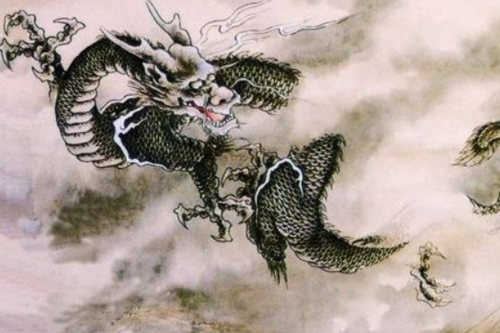 分星掰两指什么动物