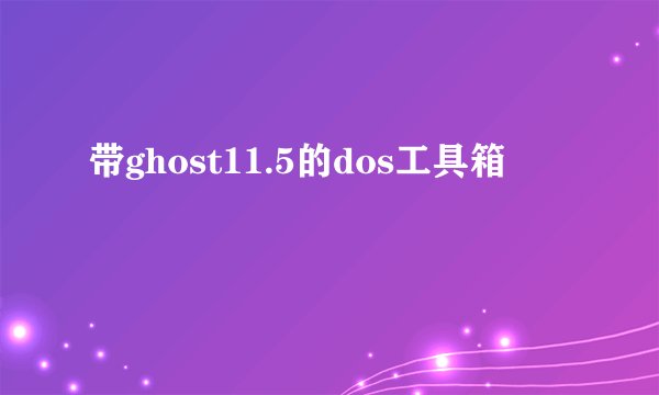 带ghost11.5的dos工具箱