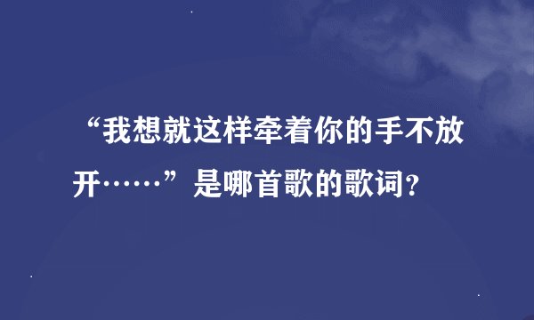 “我想就这样牵着你的手不放开……”是哪首歌的歌词？
