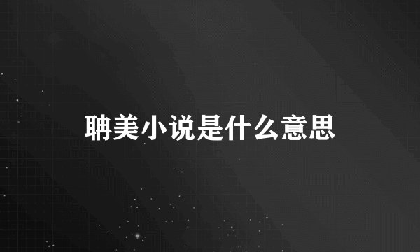 聃美小说是什么意思