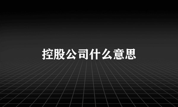 控股公司什么意思