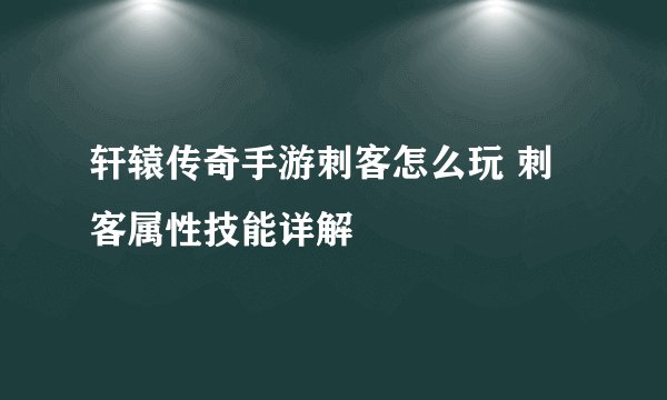轩辕传奇手游刺客怎么玩 刺客属性技能详解