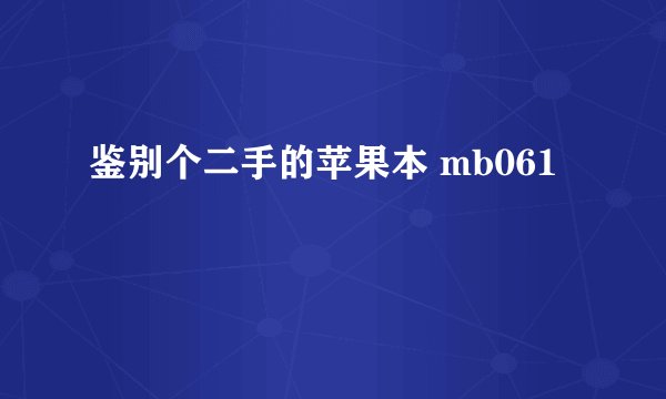 鉴别个二手的苹果本 mb061
