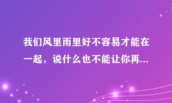 我们风里雨里好不容易才能在一起，说什么也不能让你再随风而去。这是什么歌