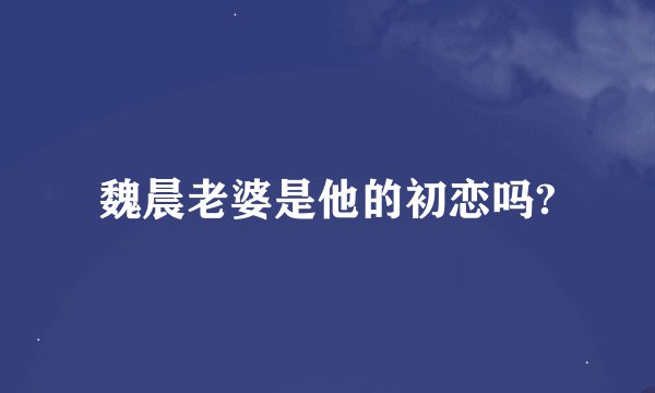 魏晨老婆是他的初恋吗?
