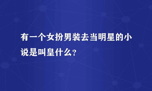 有一个女扮男装去当明星的小说是叫皇什么？