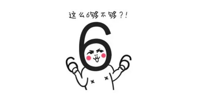 6是什么意思网络用语