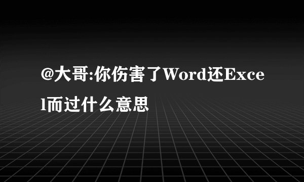 @大哥:你伤害了Word还Excel而过什么意思