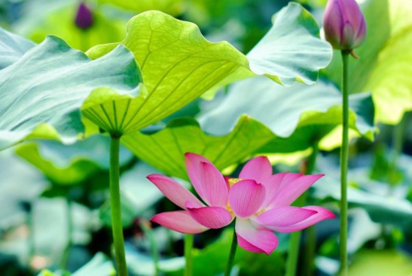 形容夏天到秋天唯美句子