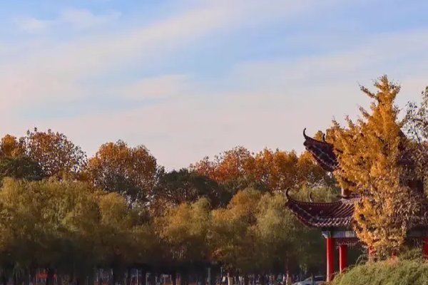 仙桃职业技术学院在哪里