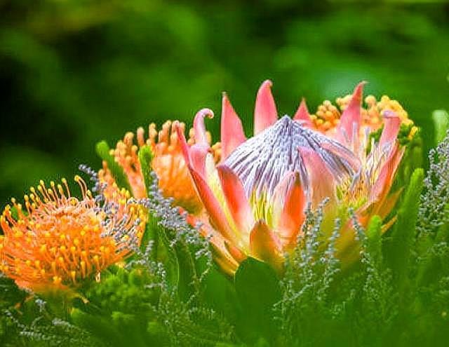 已经拥有哪几样东西的中年人，说明他非龙即凤？