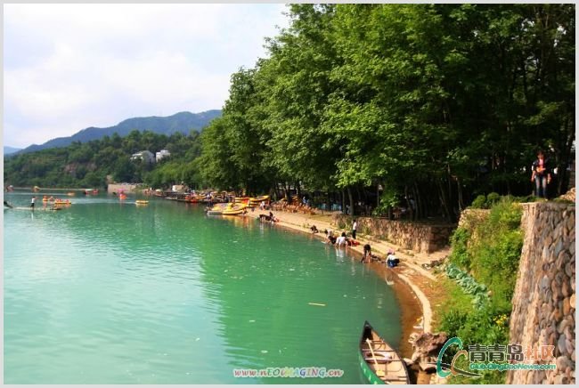 一塌糊涂bbs的重新开放