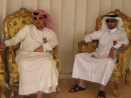 卡塔尔的皇族有多少人？在这里的“达官贵族”有多壕？