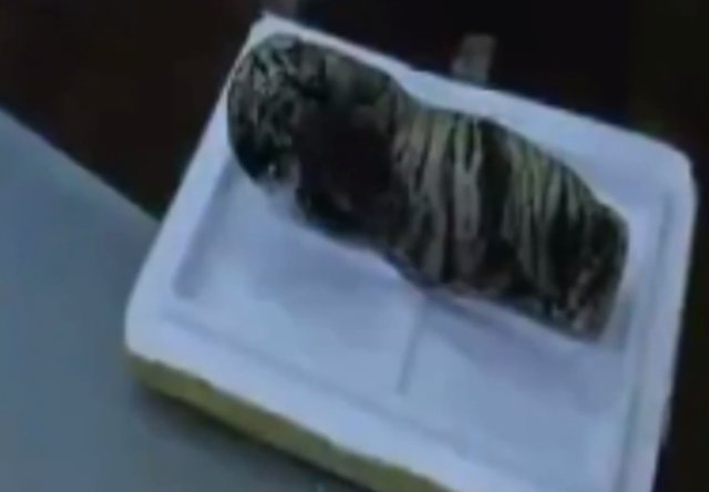 女子取快递，竟收到死亡小老虎！这背后到底隐藏着怎样的案件？