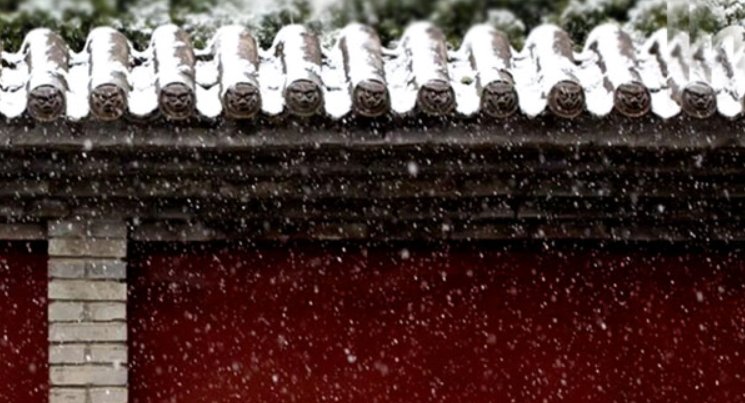 三九第一天是几月几日2022