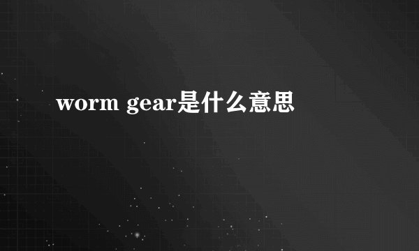 worm gear是什么意思