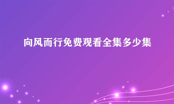 向风而行免费观看全集多少集