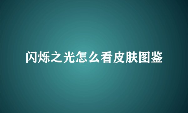 闪烁之光怎么看皮肤图鉴