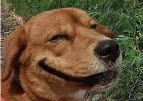 ex是什么意思网络用语 为什么ex是前任的意思